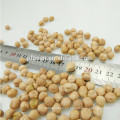 Venta al por mayor Garbanzos de alta calidad / Chick Peas Price Best